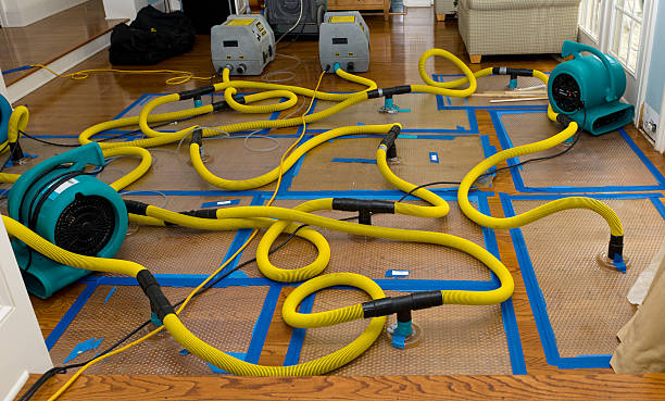 Professional Basement Flood Cleanup technician working in Canal Fulton, OH